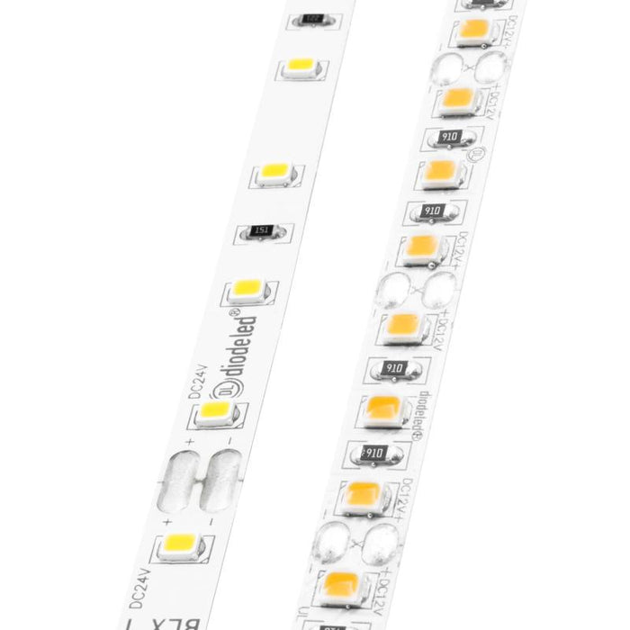 BLAZE X 100 1.54W/ft LED Tape Light, 24V, 100-ft, 4200K